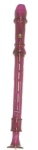 Recorder Purple