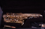 Alto Sax MG288