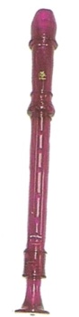 Recorder Purple
