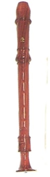 Recorder Red